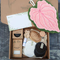 Wholistic Care Gift Set – The Renewal Set | Natural Self-Care & Wellness Gift for Her